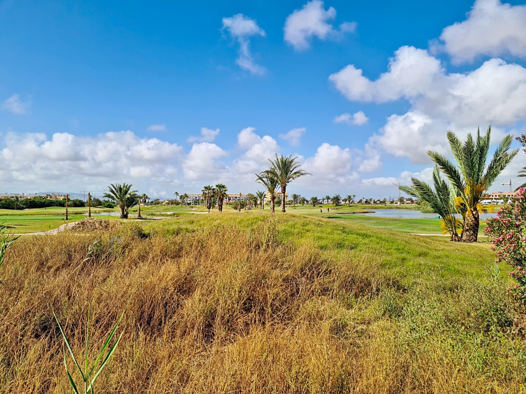 View across La Serena golf course from the apartment grounds
