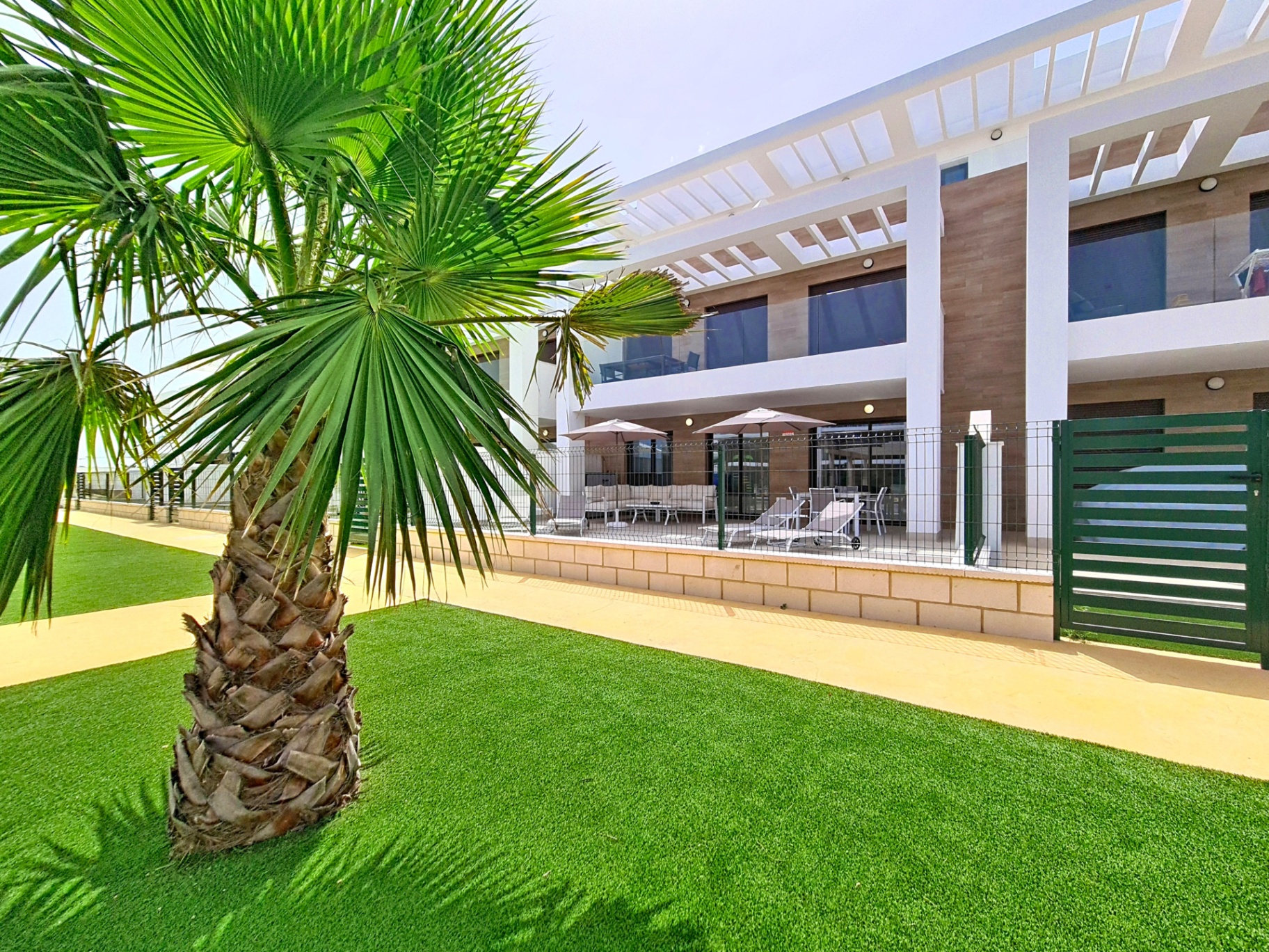 Palm-lined view of the apartment terrace from the shared grounds